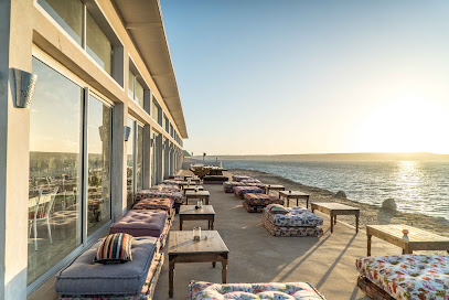 Imagen de Say Yes Team -