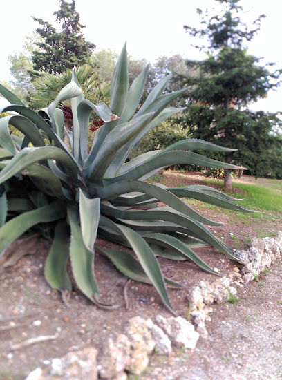 Imagen de Finca Valldosera S.A. -