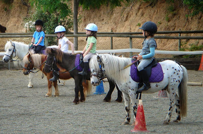 Imagen de Centre d'Equitacio Poni Club Catalunya (Barcelona Horse Tours) -