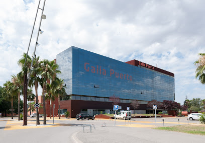 Imagen de Grupo Galia -