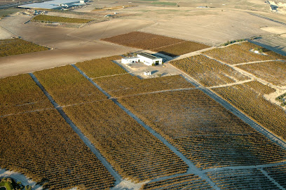 Imagen de Bodegas Gonzalez palacios (viñedos y Bodega Overo) -