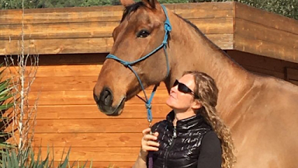 Imagen de G&A Finca Ecuestre -