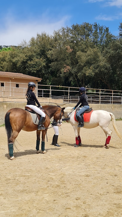 Imagen de Ecuestre Barranco -