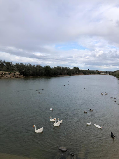 Imagen de El Lago Eventos y Celebraciones -