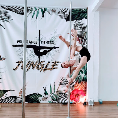 Imagen de Pole Dance Fitness Jungle -