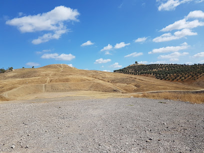 Imagen de Campo de tiro La Pastora -
