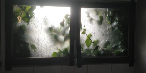 Imagen de Centro de Natacion Torrelodones -