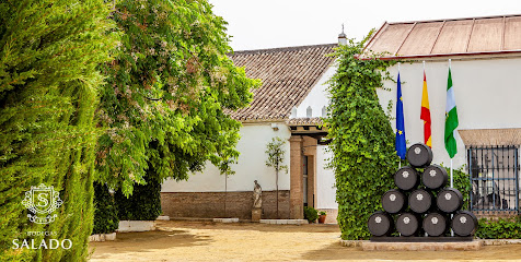 Imagen de Bodegas F. Salado -