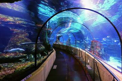 Imagen de Aquarium Barcelona -
