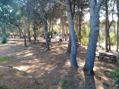 Picnic El Vedat - Campo de picnic
