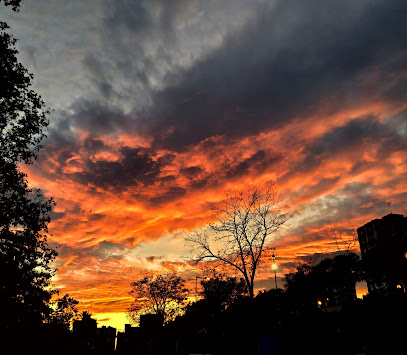 Imagen de Parc del Gran Sol -