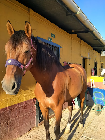 Imagen de Centro Hipico Dos Santos -