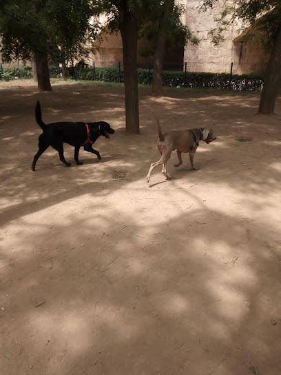 Imagen de Dog Park -