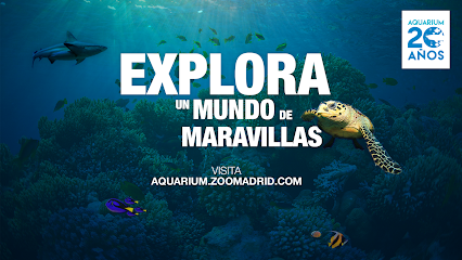 Zoo Aquarium de Madrid - Centro de diversiones para ninos