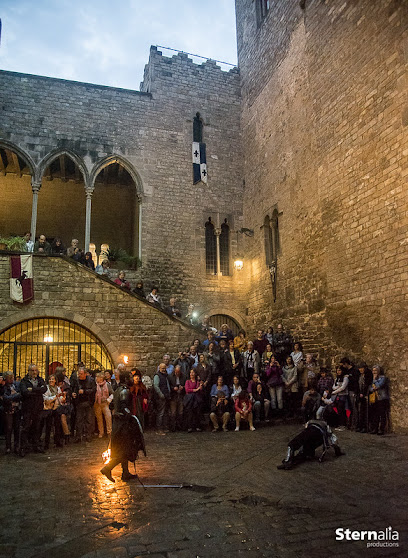 Imagen de Palau Requesens -