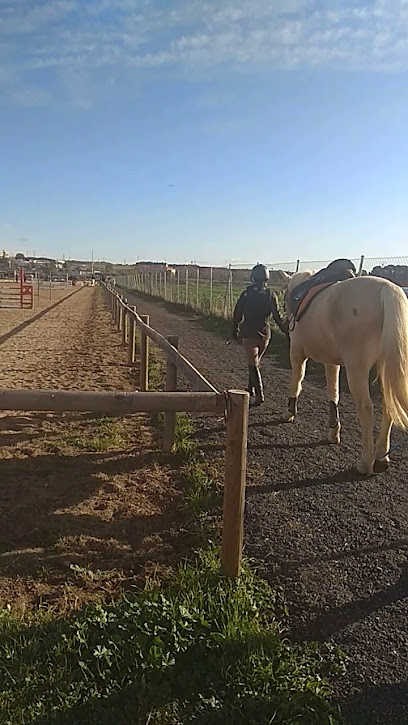 Imagen de AV Escuela Hipica -