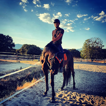 Imagen de Caballos de Ermo -