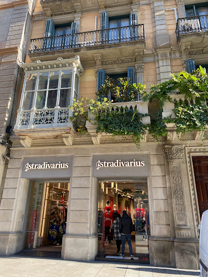 Imagen de Stradivarius -