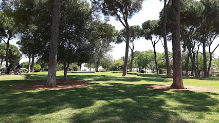 Imagen de Pines Park -