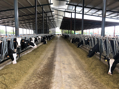 Imagen de Ganaderia San Rafael -