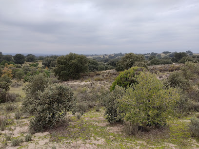 Imagen de Dehesa Boyal de Sevilla la Nueva -