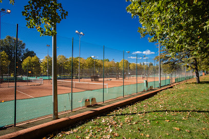 Imagen de Tenis Somontes -