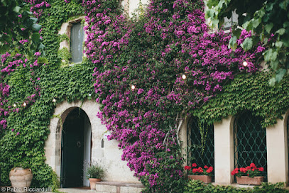 Imagen de Can Ribas de Montbui -