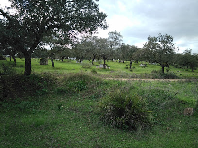 Imagen de La Madroña -