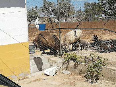 Imagen de Campo Del TITI -