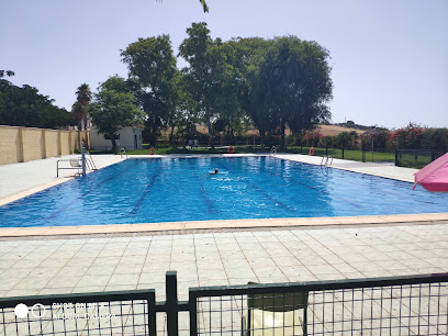 Imagen de Polideportivo Los Molares -