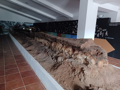 Imagen de Centro De Visitantes Cortijo El Berrocal -