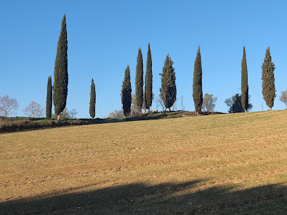 Imagen de Bosc De Can Oriol -