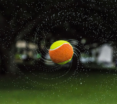 Imagen de Escuela de tenis y padel TopSport -