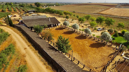 Imagen de Escuela Hipica la Ponderosa -