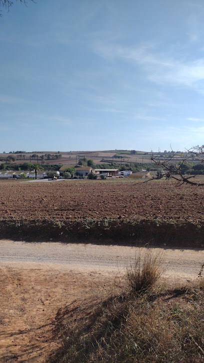 Imagen de Mas Llargues Horses -