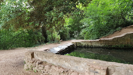 Imagen de La Font de Can Moragues -