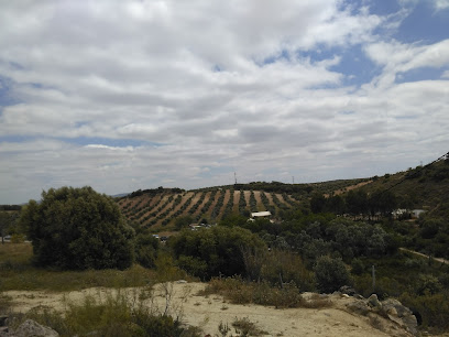 Imagen de Circuito Motocross El Calvario -