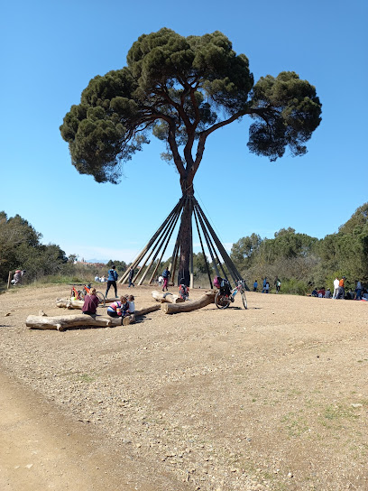 Imagen de Pi d'en Xandri -