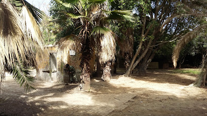 Imagen de Dxt Paintball Sevilla -