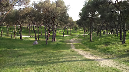 Imagen de Alto del Mojon Dehesa de la villa -