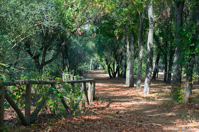 Imagen de Periurbano La Corchuela Park -