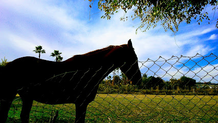 Imagen de Corredor Verde del Area Metropolitana de Sevilla -