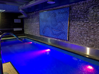 Imagen de Sauna Octopus -
