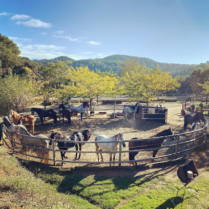 Imagen de Hipica Cal Fuster Casa de Cavalls -