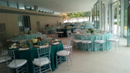 Imagen de HUERTA DE LAS PALMERAS -