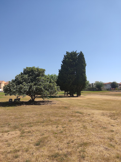 Club De Golf Gandia - Campo de golf