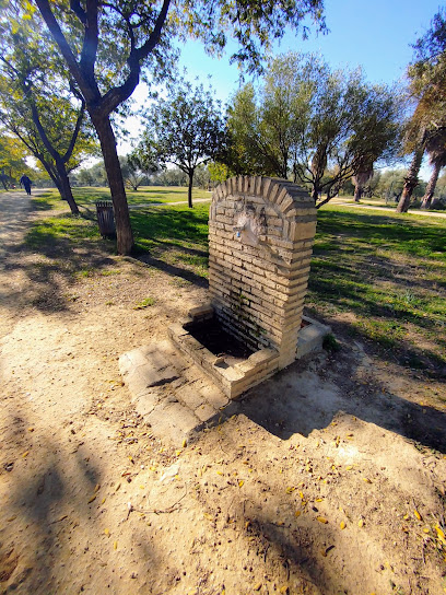 Imagen de Periurbano Porzuna Park -