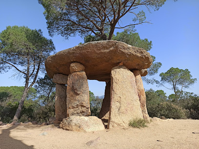 Imagen de Parc del Montnegre i el Corredor -