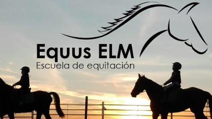 HIPICA EQUUS ELM - Campo de equitacion