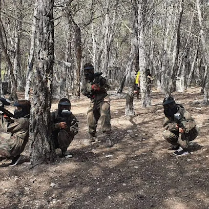 Imagen de Can Cercos Paintball -